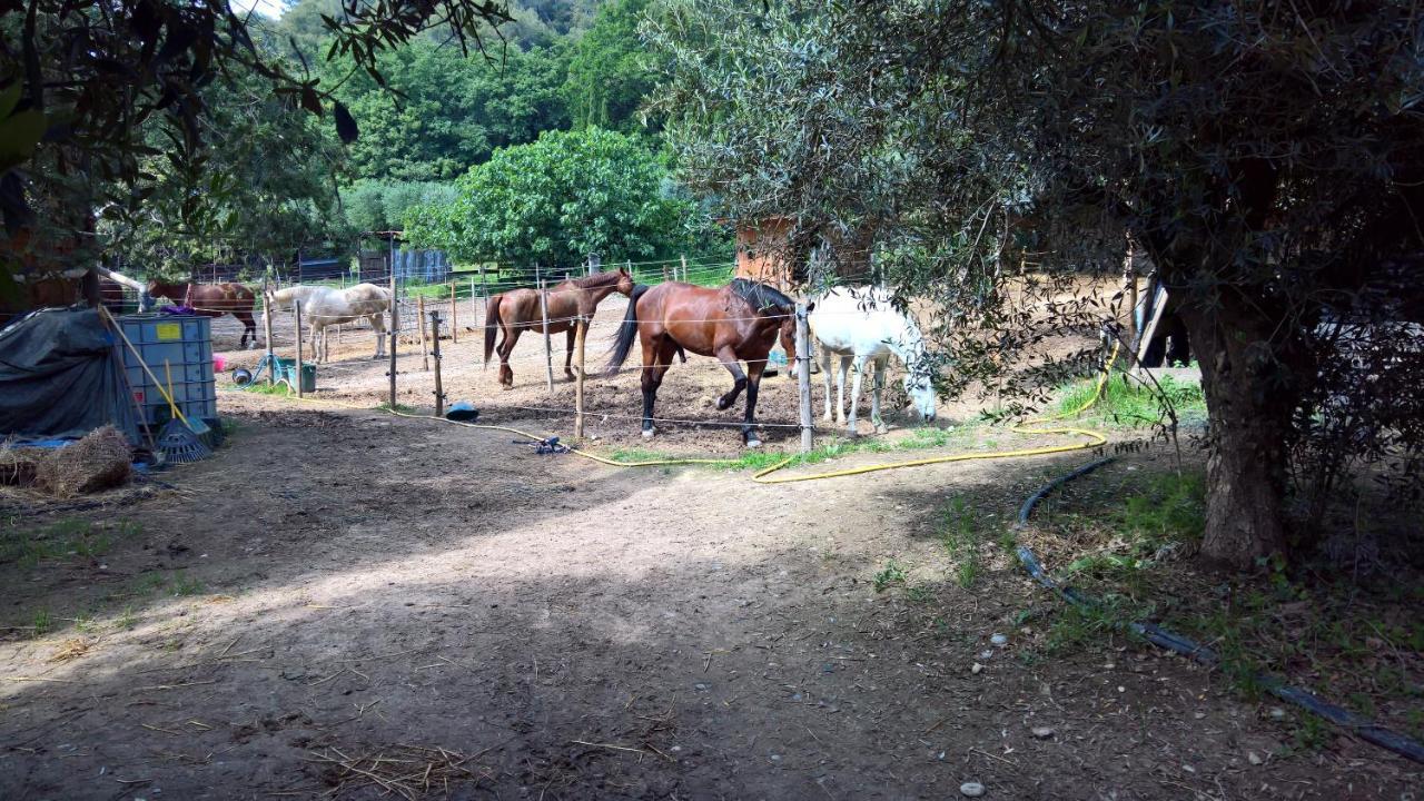 Baie Des Anges Appartement Bis Villeneuve-Loubet Eksteriør billede